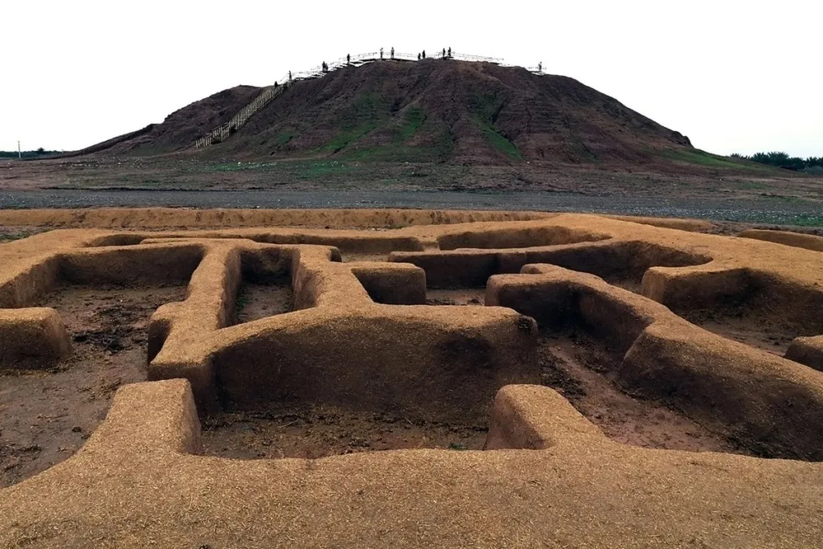 تخریب «کُنارصندل» تکذیب شد