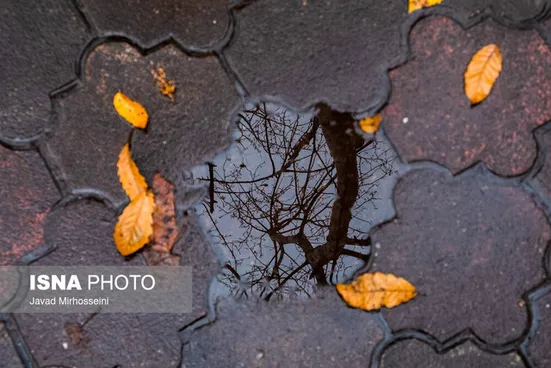 تشکیل ال&zwnj;نینوی قوی/بارش&zwnj;های پاییز از نرمال بیشتر می&zwnj;شود