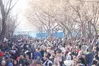 بازسازی اعتماد عمومی، شرطی اساسی برای عبور از بحران است؟