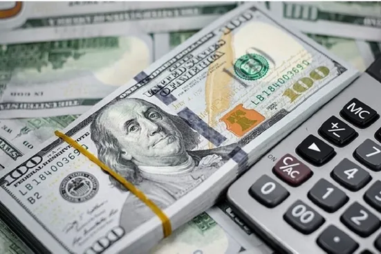 ادعای راغفر: قیمت دلار به ۱۰۰ هزار تومان و بیشتر هم می&zwnj;رسد