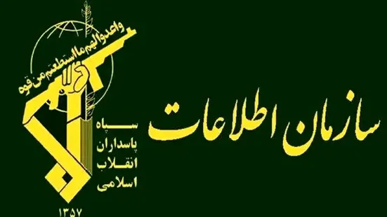 شناسایی و انهدام ۱۲ شبکه سازمان&zwnj;یافته تروریستی و جاسوسی در استان کرمان