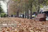 پاییز با افزایش دما آغاز می‌شود