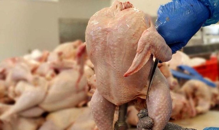 مرغ عمده‌ای را کیلویی ۷۵ هزار تومان می‌خریم؛ چطور آن را ۶۳ هزار تومان بفروشیم؟