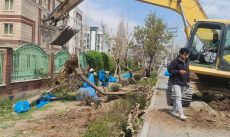 بریدن درختان در حاشیه اتوبان افسریه تهران