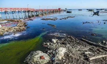 سازمان محیط زیست در خصوص توقف طبیعت‌گردی در آشوراده پاسخگو باشد